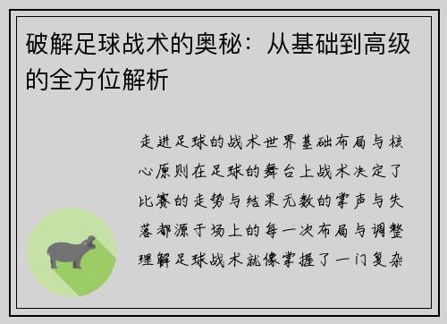 破解足球战术的奥秘：从基础到高级的全方位解析
