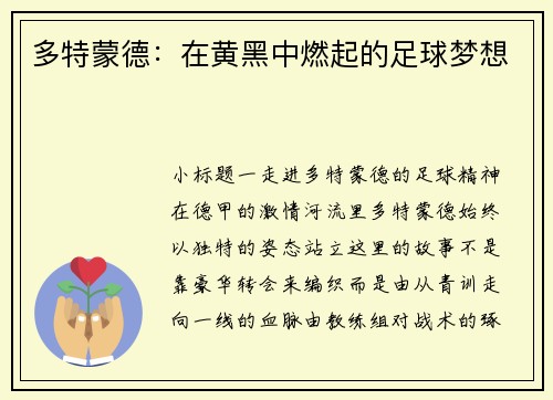 多特蒙德：在黄黑中燃起的足球梦想