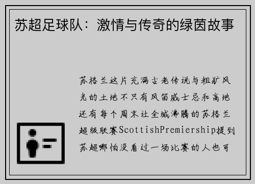 苏超足球队：激情与传奇的绿茵故事