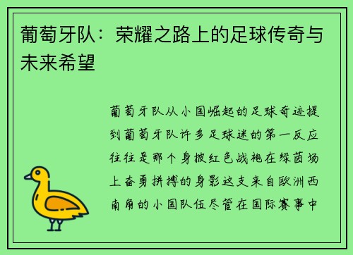 葡萄牙队：荣耀之路上的足球传奇与未来希望